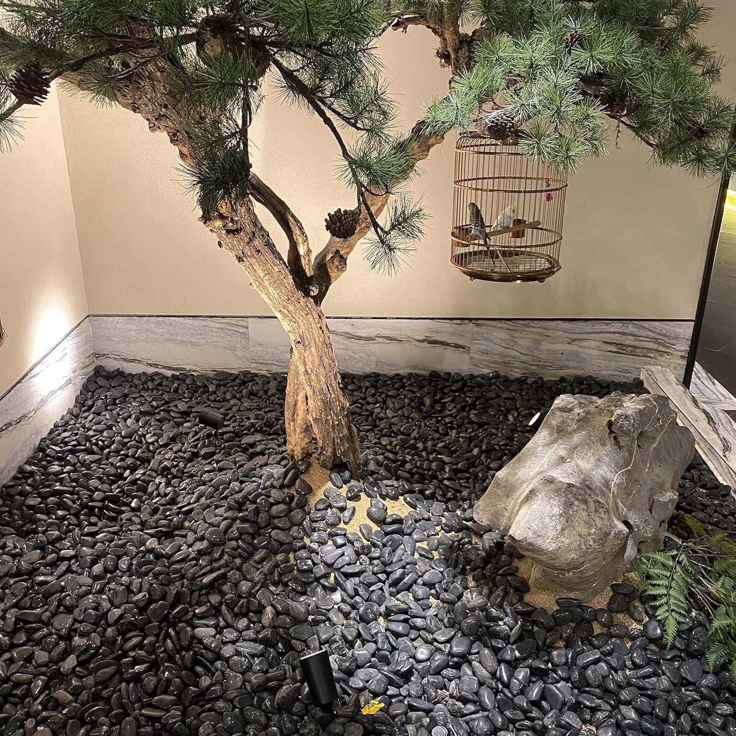 5 lbs Black River Rocks for Plants, 2-3 inch Large Pebbles for Plants Indoor. Decorative Stones for Planters Vase Fillers Aquarium Fish Tank and Outdoor Garden Landscaping