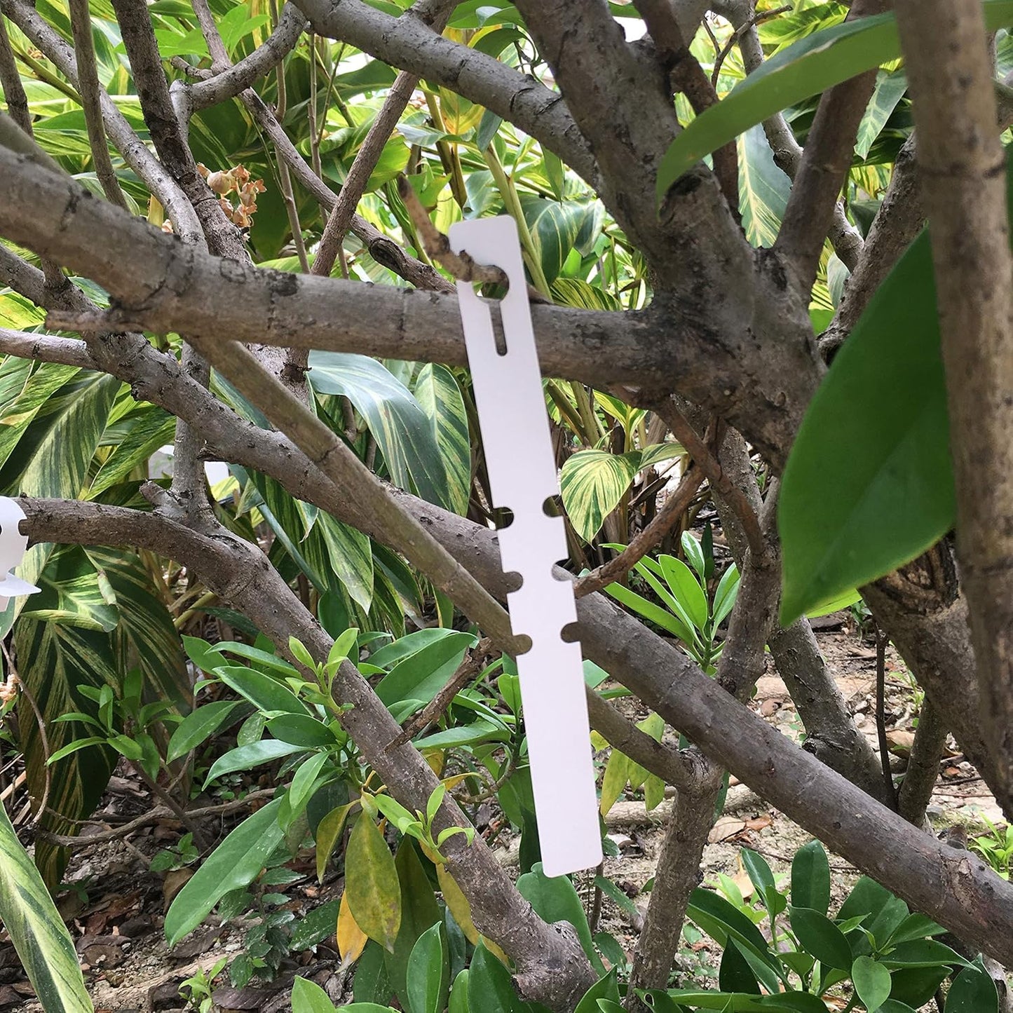 200 Pcs White Plastic Plant Tags with a Marker Pen, Wrap Around Hanging Tree Tags Nursery Garden Labels Waterproof Nursery Garden Stakes, 2x20cm