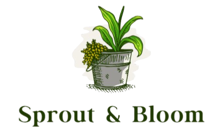 Sprout & Bloom